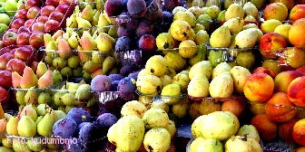 Mat-Fruits