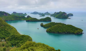 Klimawandel – Publikationsliste 2020