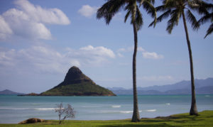 Cross Industry Standard Process for Data Mining