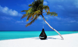 Software ist nicht alles, aber ohne Software ist alles nichts